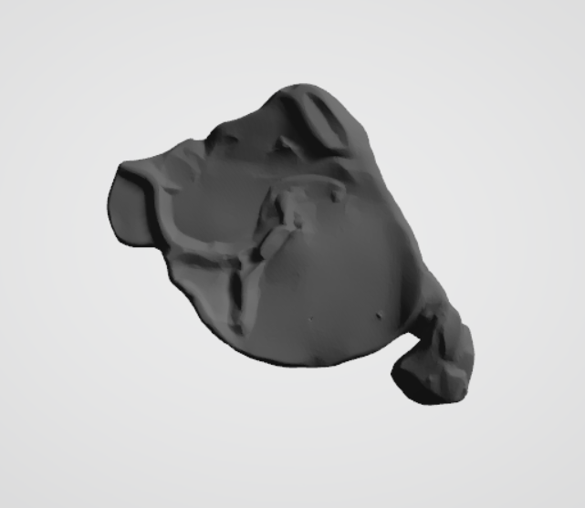 Plomba drohiczyńska