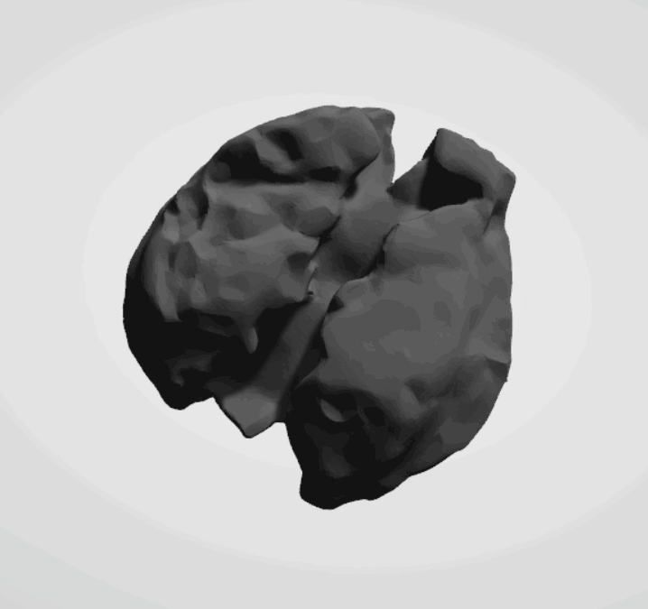 Plomba drohiczyńska