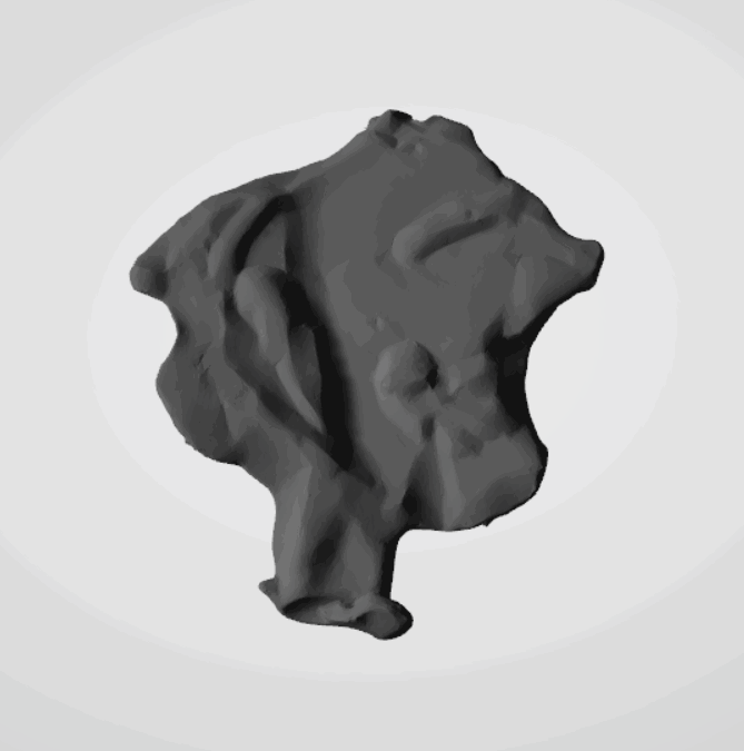 Plomba drohiczyńska