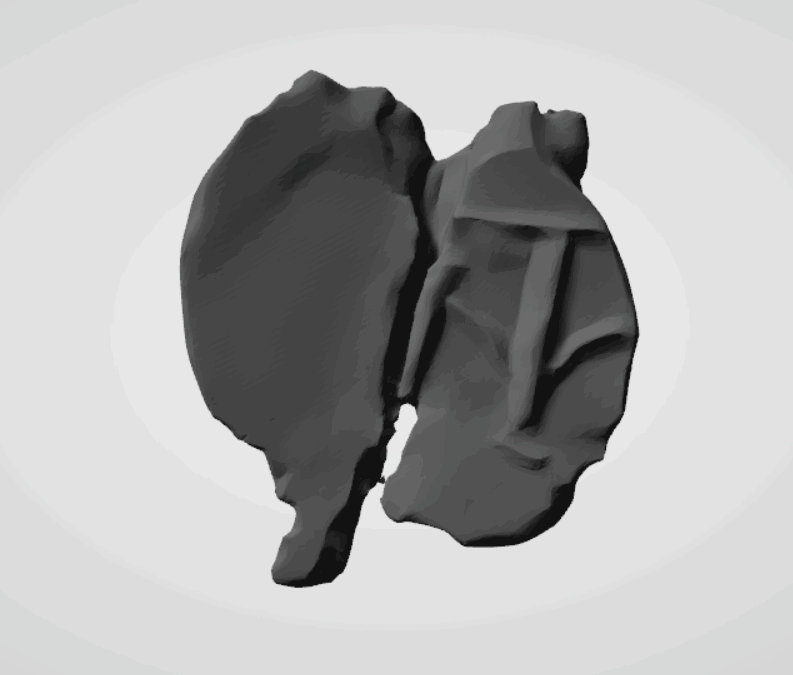 Plomba drohiczyńska