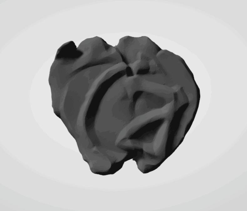 Plomba drohiczyńska