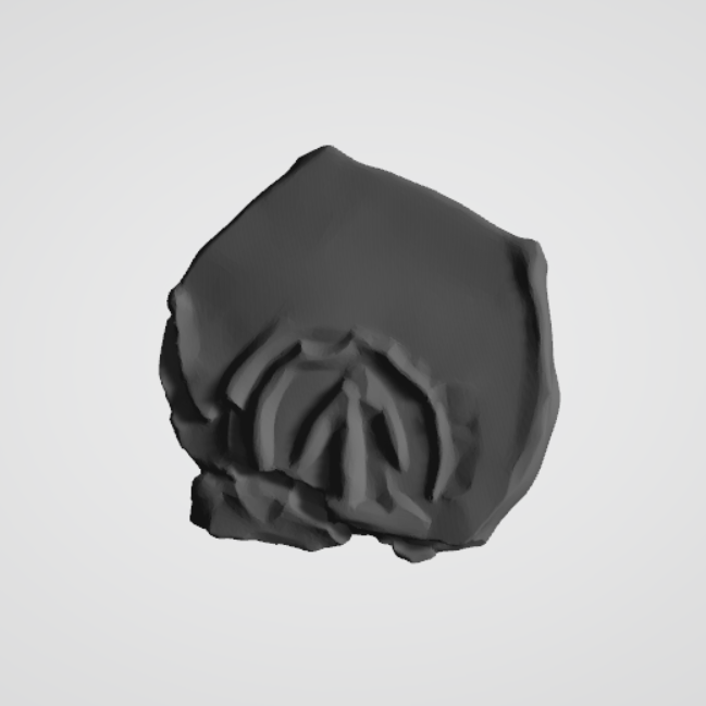 Plomba drohiczyńska