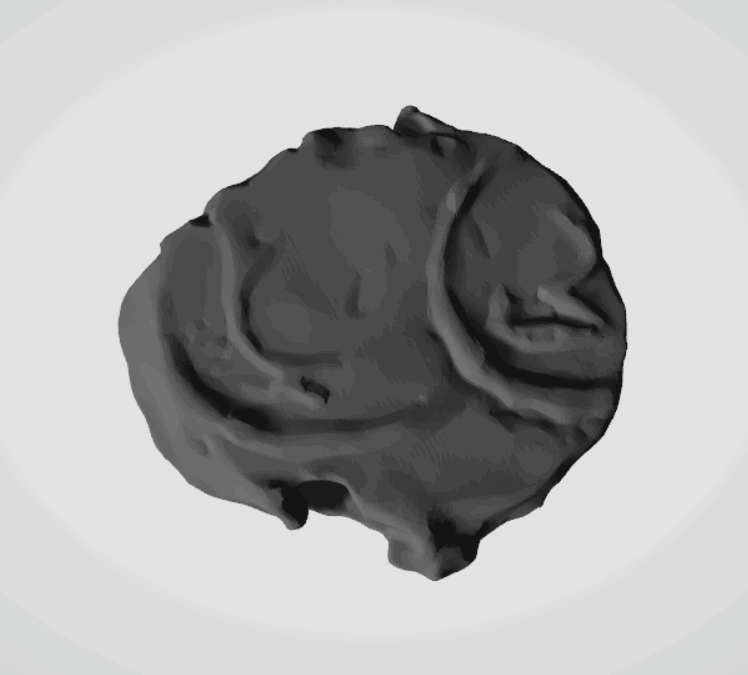 Plomba drohiczyńska