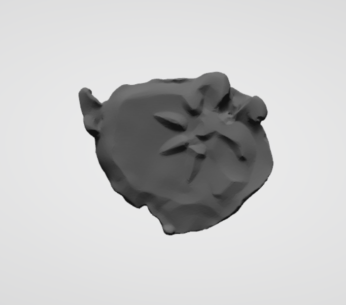 Plomba drohiczyńska