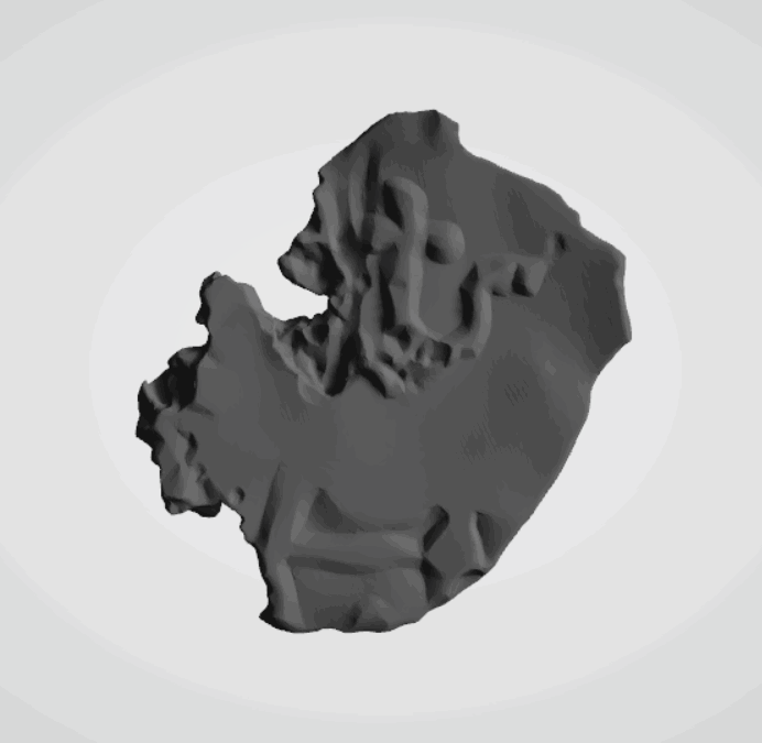 Plomba drohiczyńska