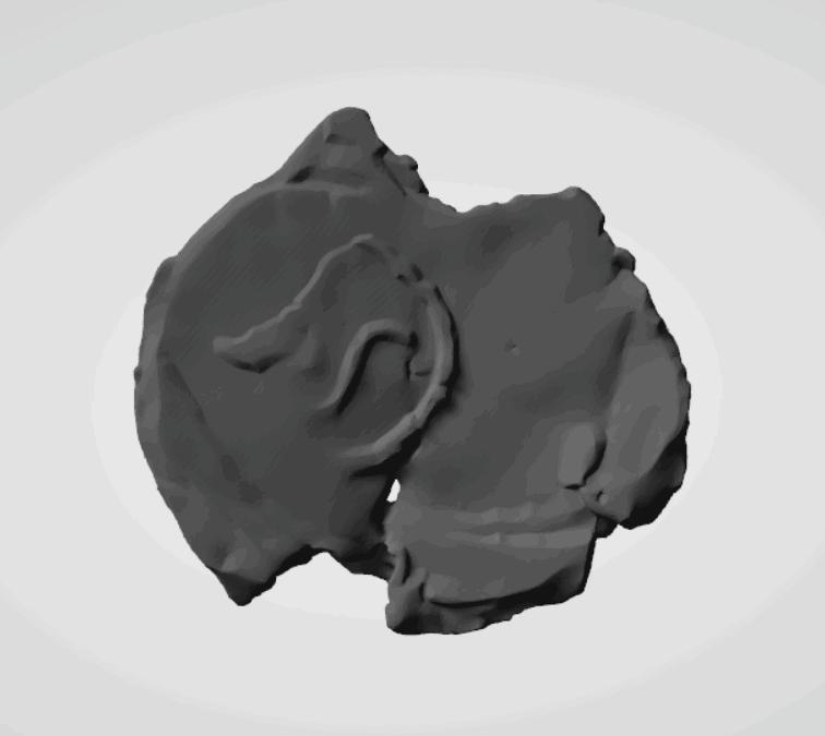 Plomba drohiczyńska