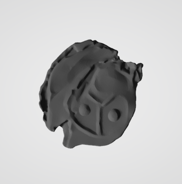 Plomba drohiczyńska