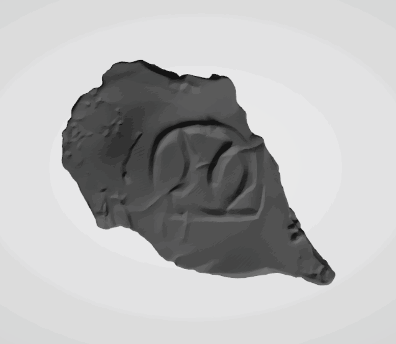 Plomba drohiczyńska