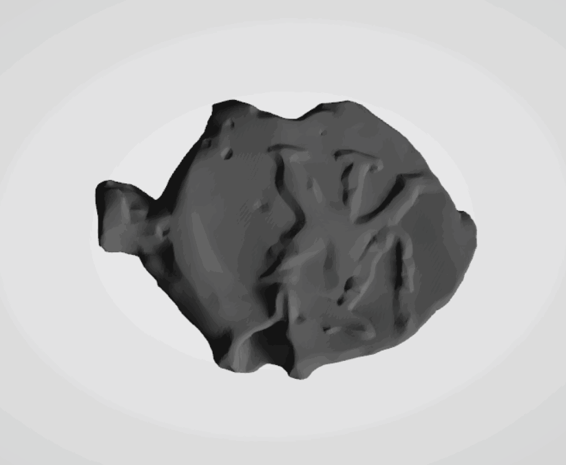 Plomba drohiczyńska