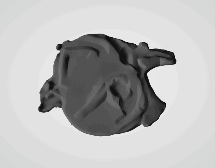 Plomba drohiczyńska