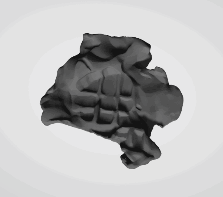 Plomba drohiczyńska