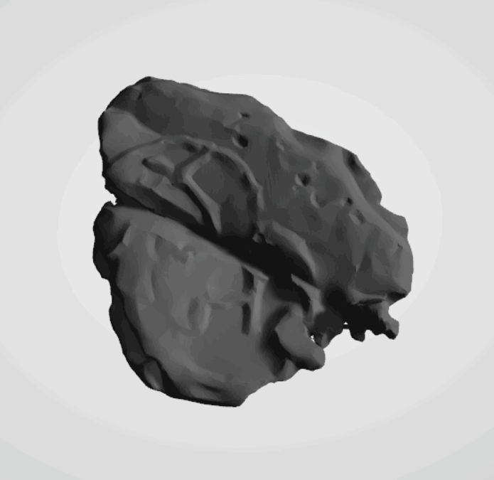 Plomba drohiczyńska