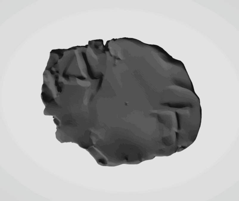 Plomba drohiczyńska