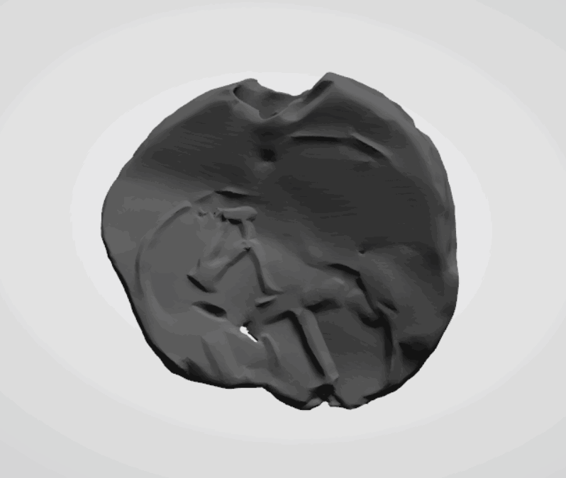 Plomba drohiczyńska