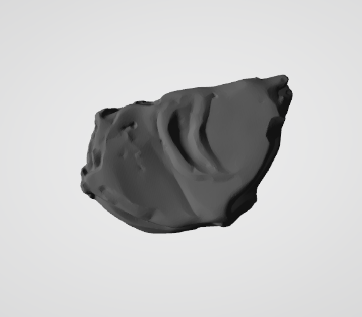 Plomba drohiczyńska