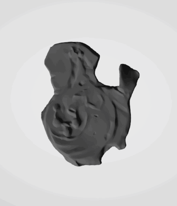 Plomba drohiczyńska