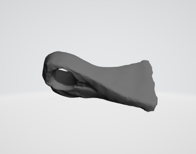 Wisiorek toporkowaty