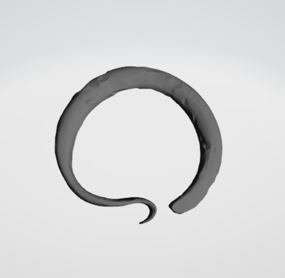 Kabłączek skroniowy